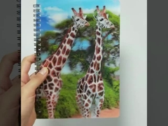 cuaderno lenticular 3D