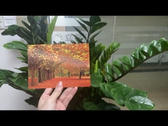 Oso marrón en Alaska Tarjeta lenticular Tarjeta de regalo para turistas Tarjetas postales en 3D