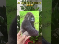 Cambiar imágenes en 3D Tarjeta de aniversario Tarjeta de cumpleaños de boda Imágenes de impresión en 3D