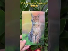 Los girasoles de Van Gogh Tarjetas postales lenticulares 3D para la galería de arte del museo