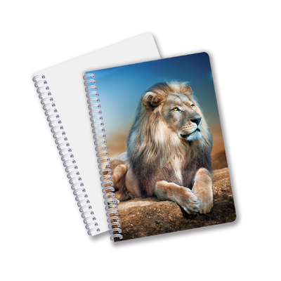 Impresión 3D con efecto 3D Lenticular Cuaderno de portada dura Cuaderno en espiral Forrado Cuaderno perforado Para Niños