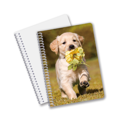 Impresión 3D con efecto 3D Lenticular Cuaderno de portada dura Cuaderno en espiral Forrado Cuaderno perforado Para Niños
