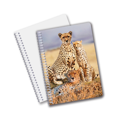 Impresión 3D con efecto 3D Lenticular Cuaderno de portada dura Cuaderno en espiral Forrado Cuaderno perforado Para Niños