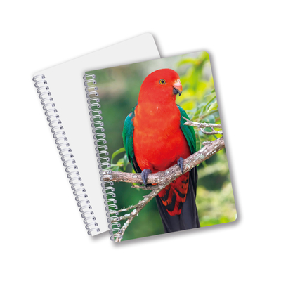 Venta caliente Papelería escolar Impresión 3D Lenticular Cuaderno de diario para recuerdos