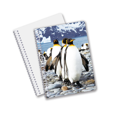 Venta caliente Papelería escolar Impresión 3D Lenticular Cuaderno de diario para recuerdos