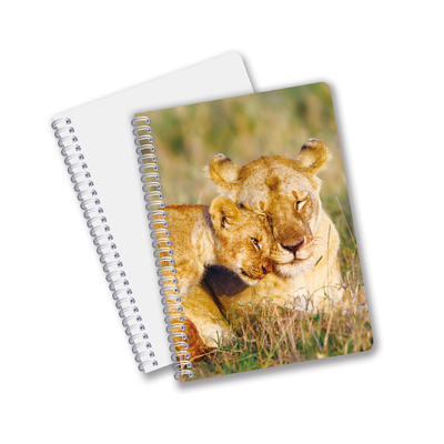 Uso diario Buena calidad hecha en China Eco amigable PET Hojas personalizadas duraderas 3D Cuaderno espiral lenticular