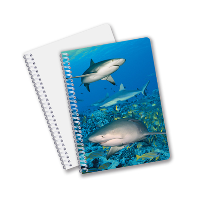 Suministros escolares 3D Cuaderno lenticular personalizado Cuaderno espiral para estudiantes y oficinas