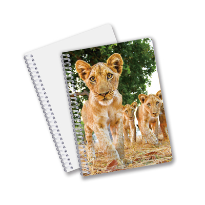 Suministros escolares 3D Cuaderno lenticular personalizado Cuaderno espiral para estudiantes y oficinas