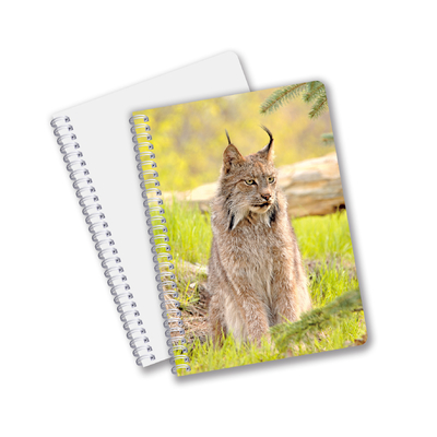 Suministros escolares 3D Cuaderno lenticular personalizado Cuaderno espiral para estudiantes y oficinas