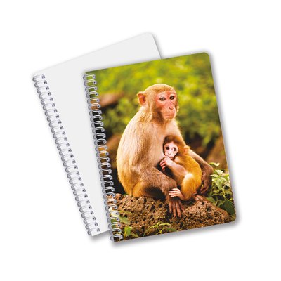 Venta al por mayor de cuadernos de impresión CMYK en forma de espiral 3D con formato PET de tamaño A6 A5 A4 para trabajo de oficina