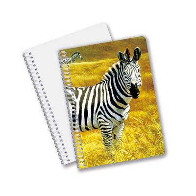 Venta al por mayor de cuadernos de impresión CMYK en forma de espiral 3D con formato PET de tamaño A6 A5 A4 para trabajo de oficina