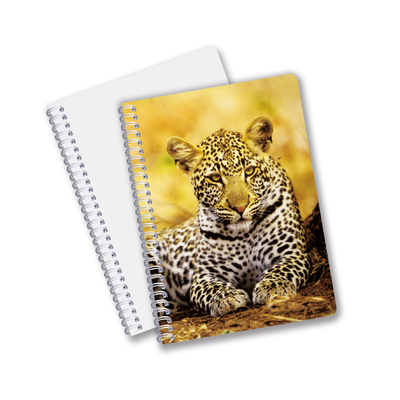 Venta al por mayor de cuadernos de impresión CMYK en forma de espiral 3D con formato PET de tamaño A6 A5 A4 para trabajo de oficina