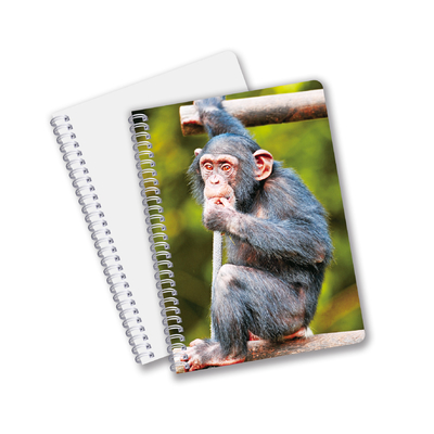 Factory Custom B5 A5 A6 Impresión 3D Cuaderno Lenticular Cuaderno de Estudiantes Espiral