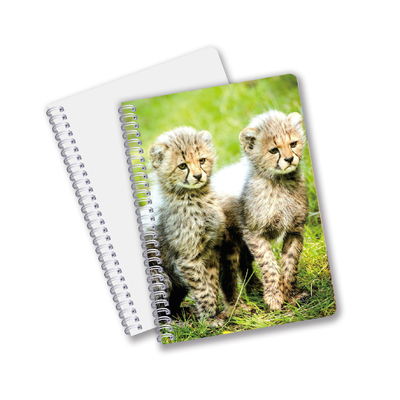 Factory Custom B5 A5 A6 Impresión 3D Cuaderno Lenticular Cuaderno de Estudiantes Espiral