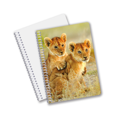 Factory Custom B5 A5 A6 Impresión 3D Cuaderno Lenticular Cuaderno de Estudiantes Espiral