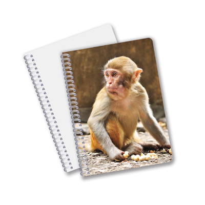 A5 A4 Estándar Cuaderno 3D barato Personalizado 3D Cuaderno de diario Panda