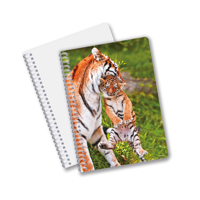 Papelería escolar 3D Publicidad lenticular cuadernos en espiral personalizados para niños regalo de promoción