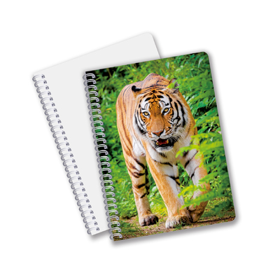 China Factory 3D Lenticular Custom offset Imprimido con PET A3/A4/A5/A6 portátiles