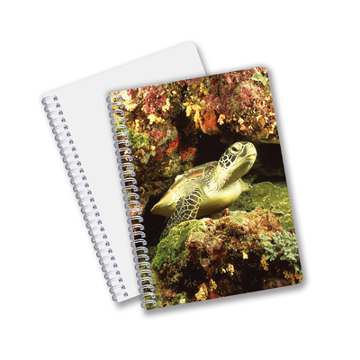 Papelería escolar 3D Publicidad lenticular cuadernos en espiral personalizados para niños regalo de promoción