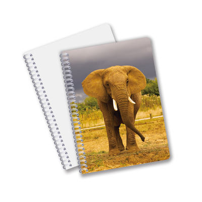 China Productos de bajo precio Impresión 3d lenticular personalizada Flores Animales Cuaderno de tapa dura Reutilizable Con Logotipo