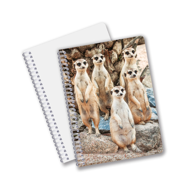 China Factory 3D Lenticular Custom offset Imprimido con PET A3/A4/A5/A6 portátiles