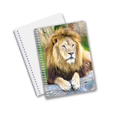 China Factory 3D Lenticular Custom offset Imprimido con PET A3/A4/A5/A6 portátiles