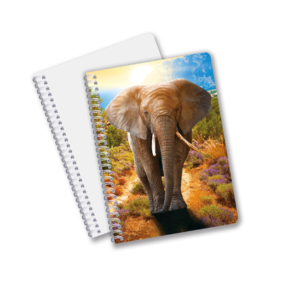 China Factory 3D Lenticular Custom offset Imprimido con PET A3/A4/A5/A6 portátiles