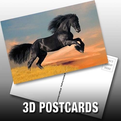 Flip Effect 3D Lenticular Tarjeta Postal Tiernos cachorros y gatitos Diseño