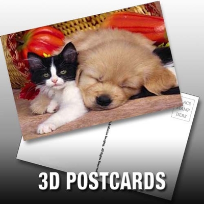 Flip Effect 3D Lenticular Tarjeta Postal Tiernos cachorros y gatitos Diseño