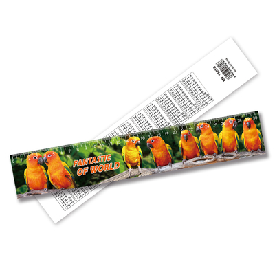 Impresión 3D al por mayor Regla de plástico Regla de impresión Lenticular Acepta diseño de tamaño personalizado