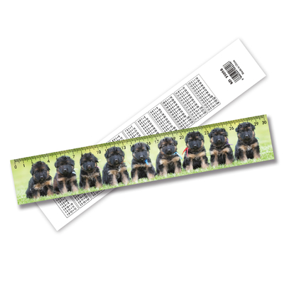 Regla lenticular 3D personalizada de alta definición Efecto 3D fuerte