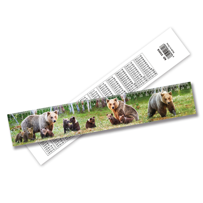 Nueva tendencia de alta calidad barata regla 3D lenticular personalizada regla 3D de irregularidad de la imagen por el proveedor de regla 3D