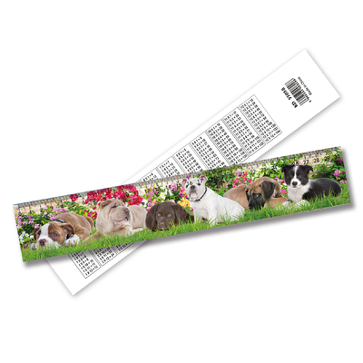 Regla 3D Lenticular Personalizable Decoraciones para el hogar con efecto de animación 3D