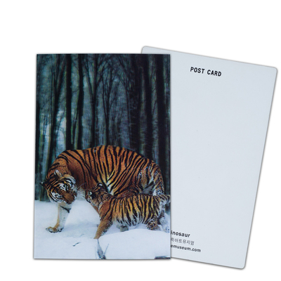 Oso marrón en Alaska Tarjeta lenticular Tarjeta de regalo para turistas Tarjetas postales en 3D