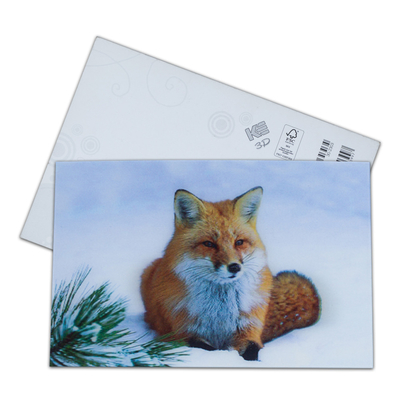 Impresión de tarjetas postales lenticulares Toucan Animales silvestres Tarjeta postal 3D Para Zoo Pack Vida marina