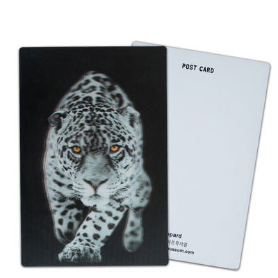Personaliza tarjetas postales lenticulares en 3D Dinosaurios animales salvajes para el parque zoológico