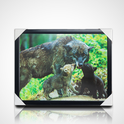 Pintura 3D Lenticular con marco negro 40*30cm PET 5D 3D Cuadros de imagen Lenticular Obra de arte Imágenes modernas