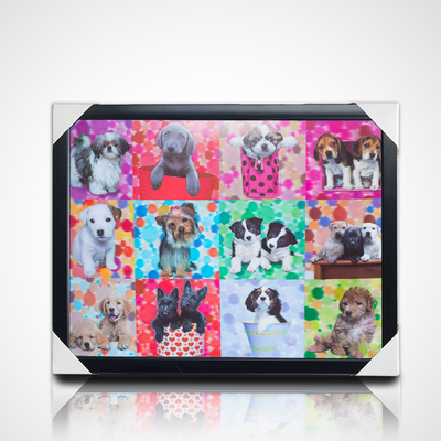 Pintura 3D Lenticular con marco negro 40*30cm PET 5D 3D Cuadros de imagen Lenticular Obra de arte Imágenes modernas