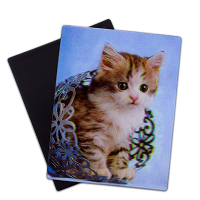 Perritos encantadores Magnetos 3D Lenticular 3D Magnetos de nevera Para regalo de recuerdo