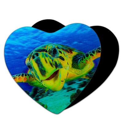 Magnetos 3D Marinos Dolfines Tiburón Tortuga Lenticular Tarjeta de Impresión para Regalos