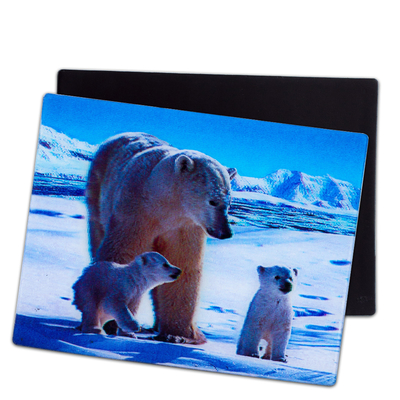 Perritos encantadores Magnetos 3D Lenticular 3D Magnetos de nevera Para regalo de recuerdo