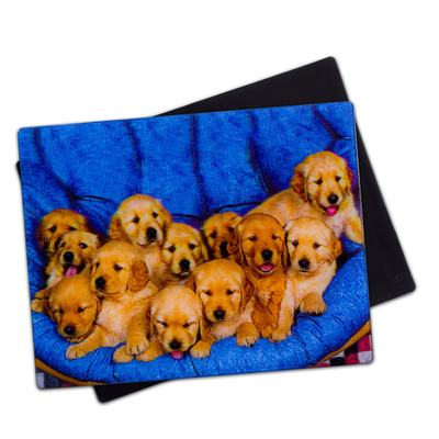Perritos encantadores Magnetos 3D Lenticular 3D Magnetos de nevera Para regalo de recuerdo