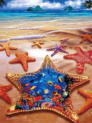 Sealifes Dolphin Tortuga Tiburón Lenticular 3D Tarjeta de Movimiento Tarjeta de Regalo Souvenir