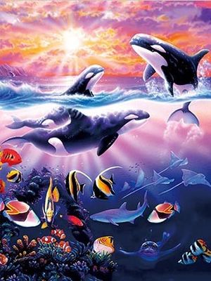 Sealifes Dolphin Tortuga Tiburón Lenticular 3D Tarjeta de Movimiento Tarjeta de Regalo Souvenir