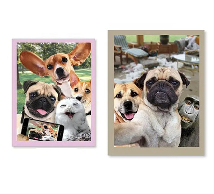 Nuevos productos Tarjetas de felicitación 3d con serie de animales interesantes
