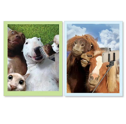 Nuevos productos Tarjetas de felicitación 3d con serie de animales interesantes