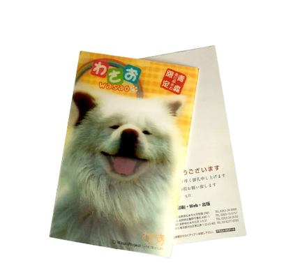Impresión 3D de nuevo estilo Lenticular Hoja lenticular Tarjeta de felicitación lenticular