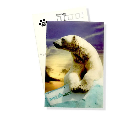 Impresión 3D de nuevo estilo Lenticular Hoja lenticular Tarjeta de felicitación lenticular