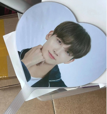 Fan de evento KPop personalizado para regalo Fan de plástico PET transparente 3D personalizado