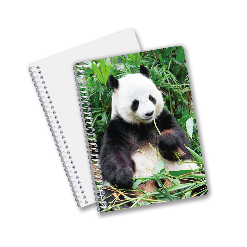 Venta al por mayor de cuadernos de impresión CMYK en forma de espiral 3D con formato PET de tamaño A6 A5 A4 para trabajo de oficina
